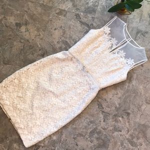 Embroidered lace flower mesh dress